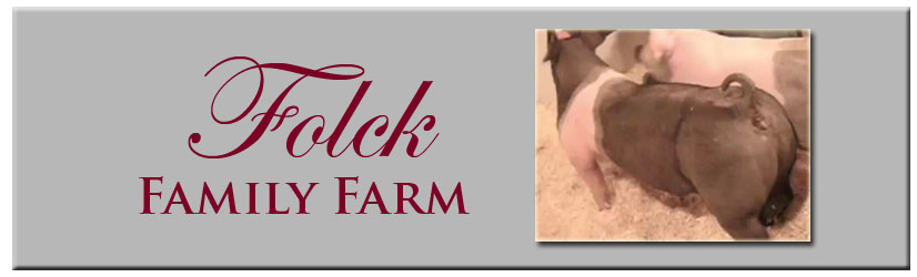 folck family farm