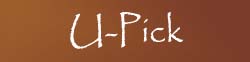 U-Pick