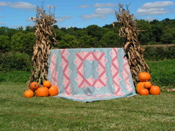 quilt barn champaign